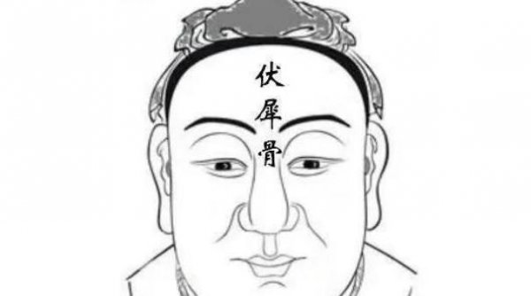 龙角骨很明显的人面相