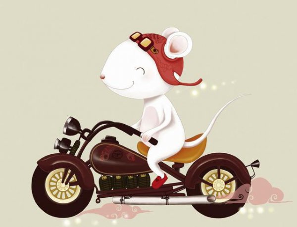 十二生肖哪个生肖最多疑