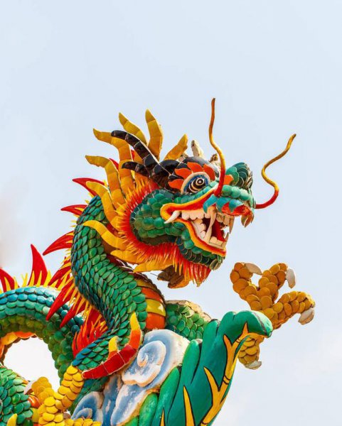 十二生肖哪个生肖最多疑