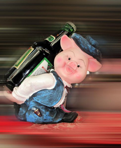 十二生肖哪个生肖最多疑