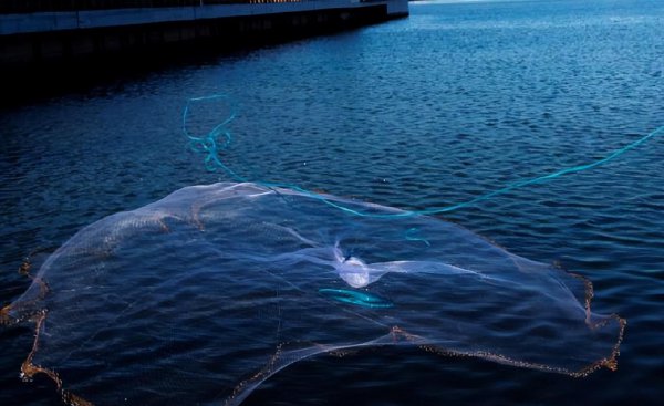 禁渔期什么时候开始和结束