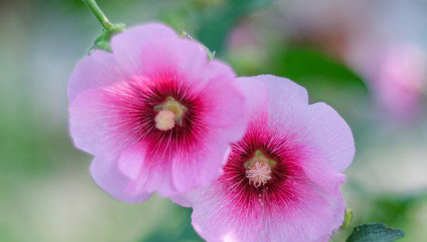 离婚对孩子的伤害真的很大吗