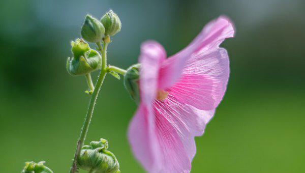 离婚对孩子的伤害真的很大吗
