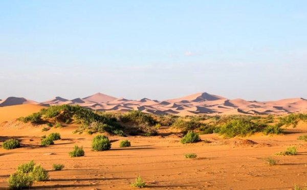 蚂蚁森林是干嘛的