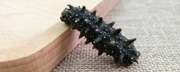 海参表面怎么清洗