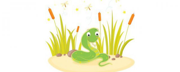 什么属相的人养蛇