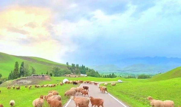 那拉提草原几月份去最合适