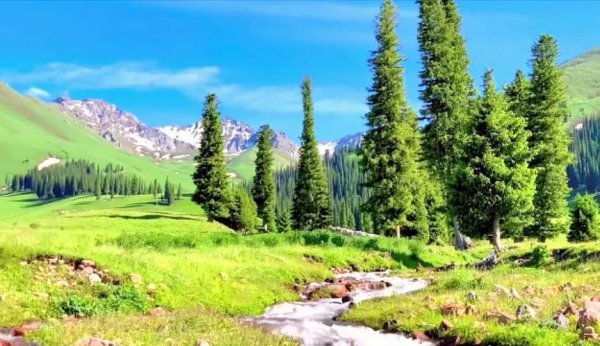 那拉提草原几月份去最合适