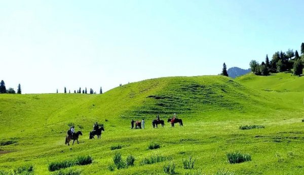 那拉提草原几月份去最合适