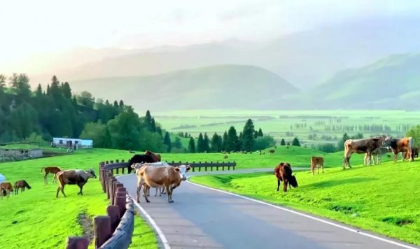 那拉提草原几月份去最合适