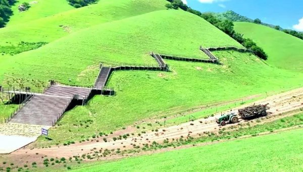 那拉提草原几月份去最合适