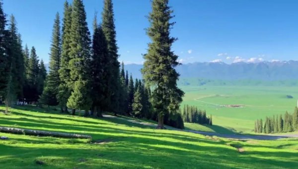 那拉提草原几月份去最合适