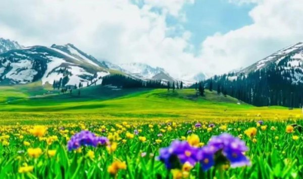 那拉提草原几月份去最合适