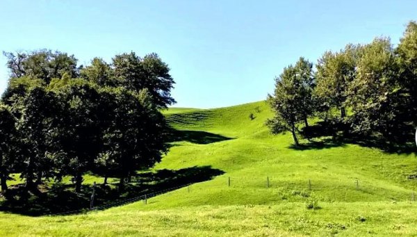 那拉提草原几月份去最合适