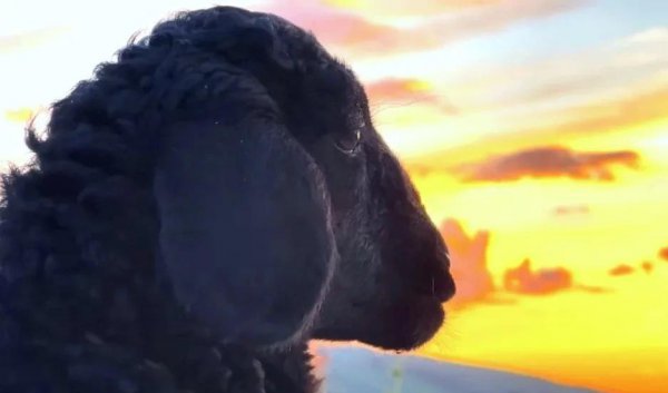 那拉提草原几月份去最合适