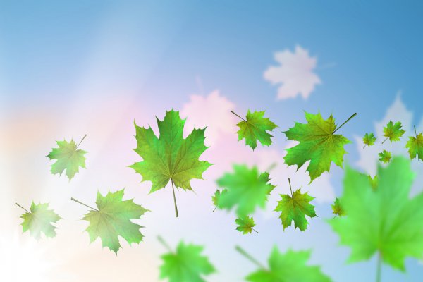 如果男人变心了怎么办