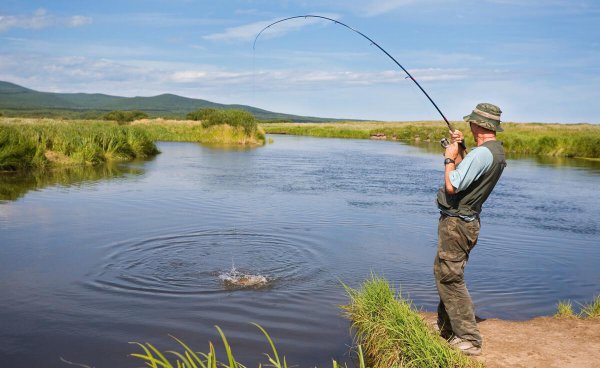 路亚竿调性怎么区分表