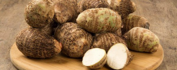 芋头怎样保存长期不烂