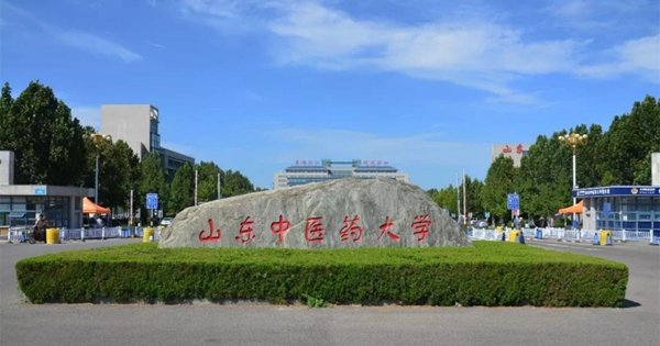 济南的大学都有哪些