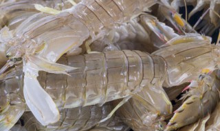 皮皮虾过夜可以吃吗 皮皮虾过夜能不能食用呢