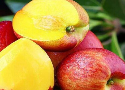 一天吃多少 油桃一天吃几个最好