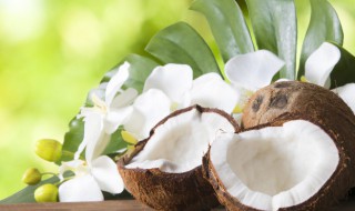 如何挑选好的椰子 挑选好的椰子的方法