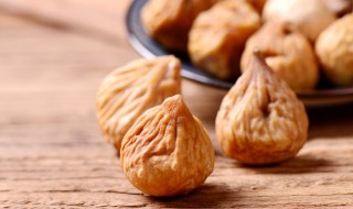 无花果什么季节种植 无花果的种植方法