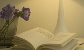 人生迷茫时的励志语录 人生迷茫无助时励志的句子大全