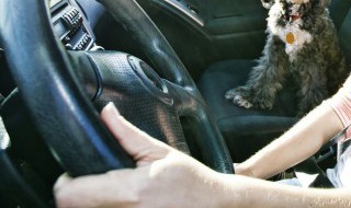 新手学车怎样才能练好离合 新手学车如何才能练好离合