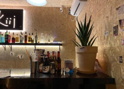 芦荟叶片干蔫应对方法 芦荟花叶子发蔫怎么回事