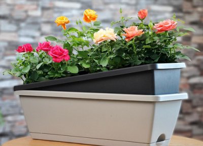 如何去除花盆上的碱垢 花盆上残留的白色水碱怎么去除