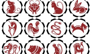 属兔的躲什么春 属兔的要躲春吗 什