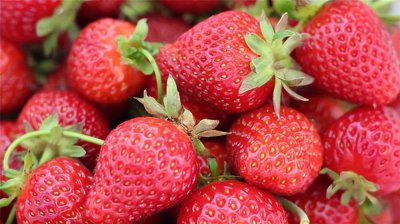 稀有水果图片及名称 世界十大稀有水果种类及介绍