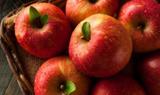 如何辨别苹果的的好坏 辨别苹果品质好坏的方法介绍