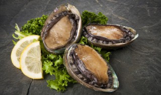 如何挑选新鲜的带壳鲍鱼 怎么挑选新鲜的带壳鲍鱼