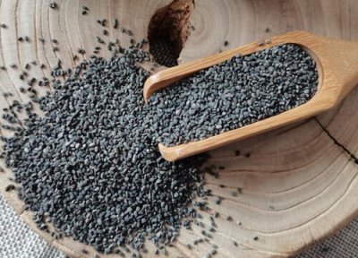 薄荷种子播种时间 薄荷种子什么时候播种最好