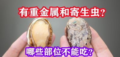 鲍鱼壳可以直接炖汤吗 鲍鱼壳能不能和肉一起煲汤