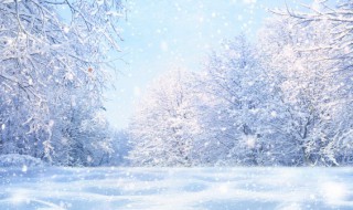 冬季去哈尔滨旅游需要准备 冬季去哈尔滨旅游要准备什么物品