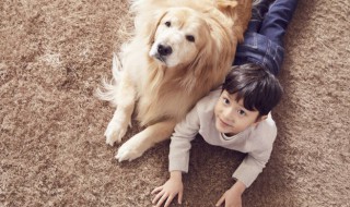 小孩养狗的好处和坏处 小孩养狗有哪些好处和坏处