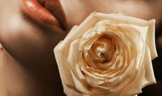 19朵玫瑰有什么寓意 19朵玫瑰的意思