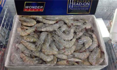 厄瓜多尔白虾是海虾吗 厄瓜多尔的南美白虾是淡水虾吗