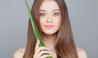 新鲜芦荟妙用 新鲜芦荟作用及食用方法