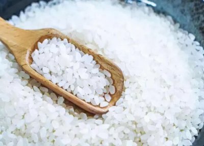 水稻和小麦都是大米吗 水稻小麦有什么区别图片