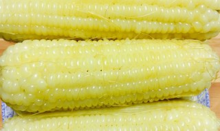 糯玉米要煮多久 糯玉米需要煮几分钟才能吃