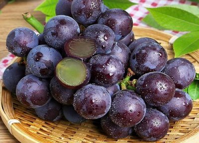 怎么种葡萄最简单的方法 种植步骤