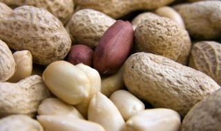 鲜花生煮多久能吃 鲜花生煮几分钟才能吃呢