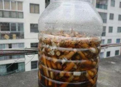 烟丝泡水浇花有什么好处和危害 适合浇什么花