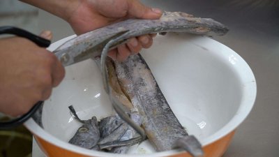 带鱼身上的银白色的东西用刮掉吗 带鱼外面银色用刮么