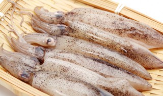 新鲜小鱿鱼怎么处理 新鲜小鱿鱼怎如何处理
