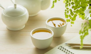 云南玉针是什么 云南玉针的简介